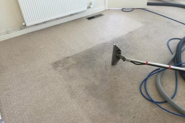 Carpet cleaning services