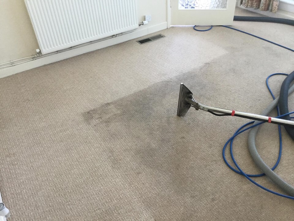 Carpet cleaning services