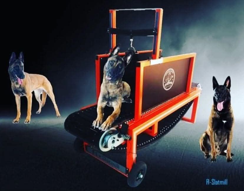 Treadmill for Dogs | DogTreadmill for sale at Treadmillfordogs.com
