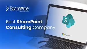 SharePoint Consultant