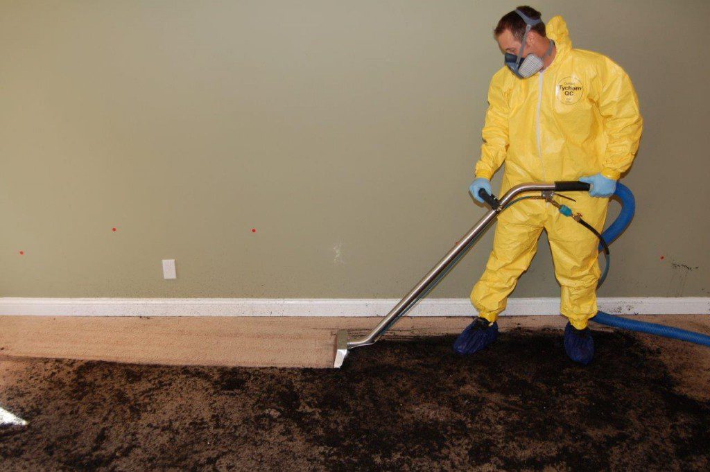 emergency sewage cleanup
