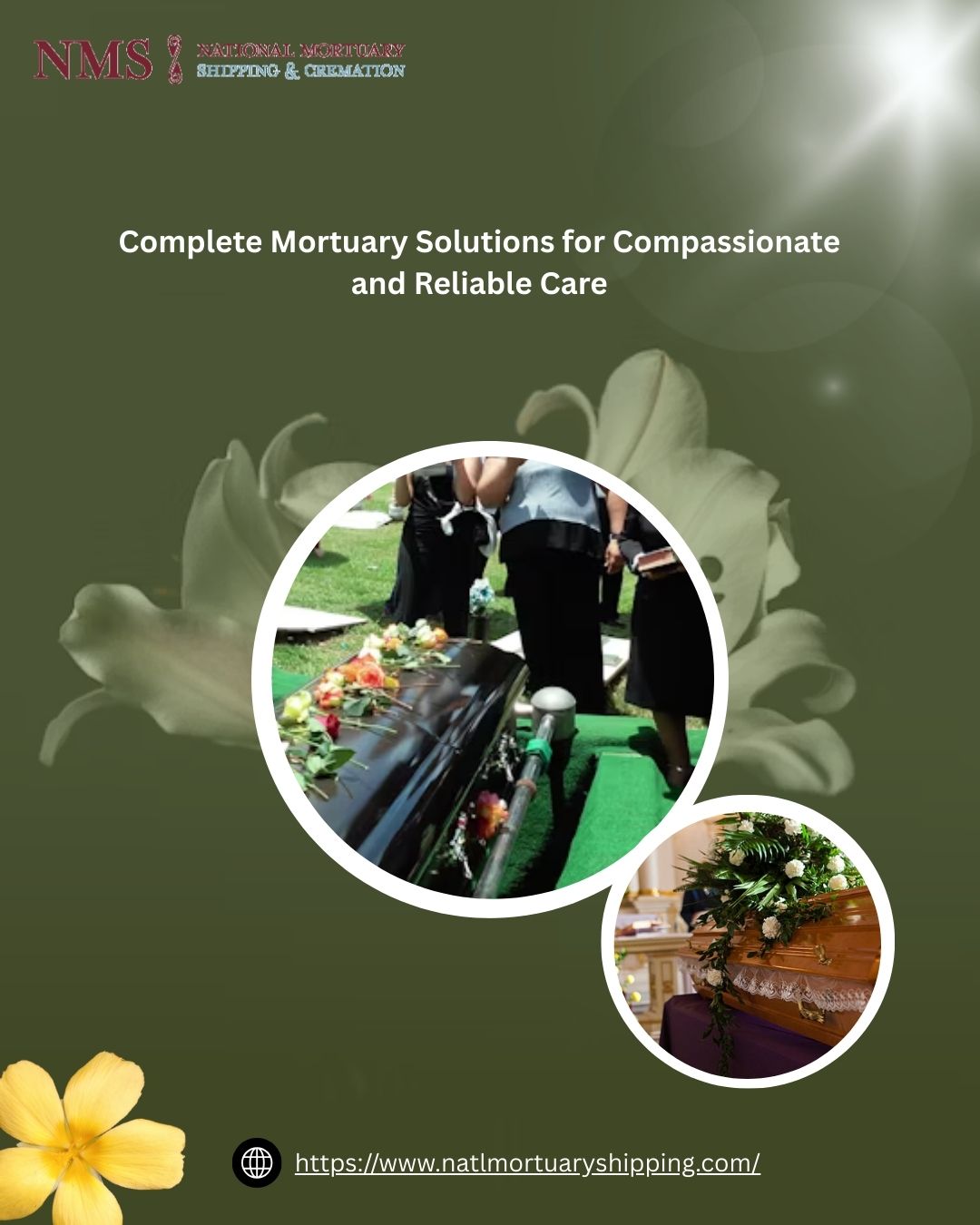 direct cremation services