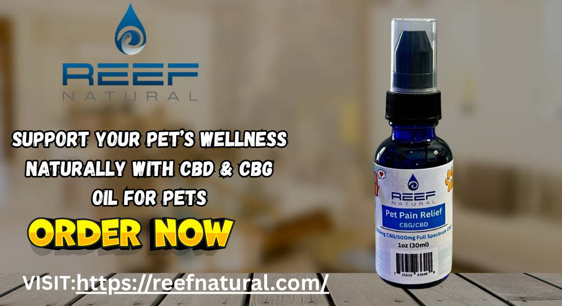 Pet CBD Drops