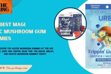 Best Magic Mushroom Gummies