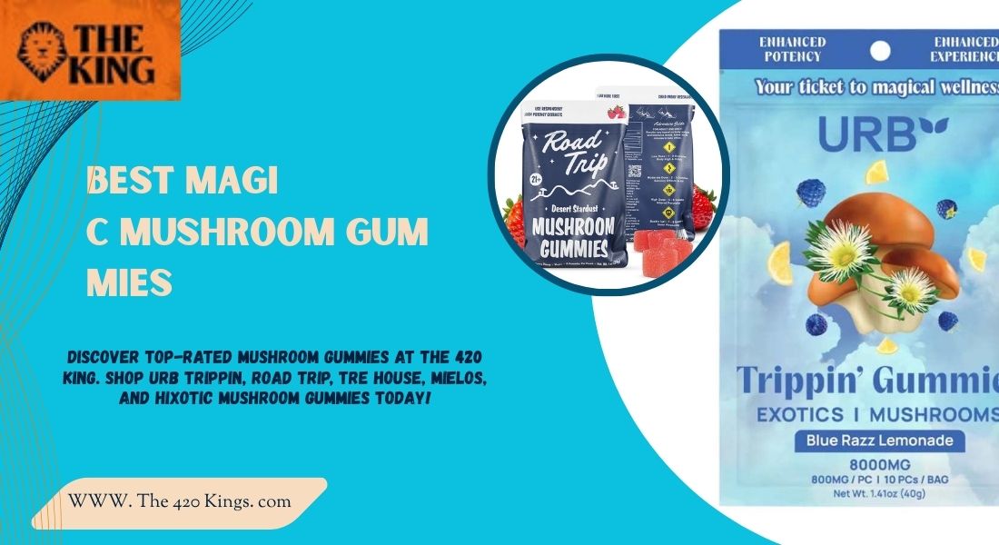 Best Magic Mushroom Gummies