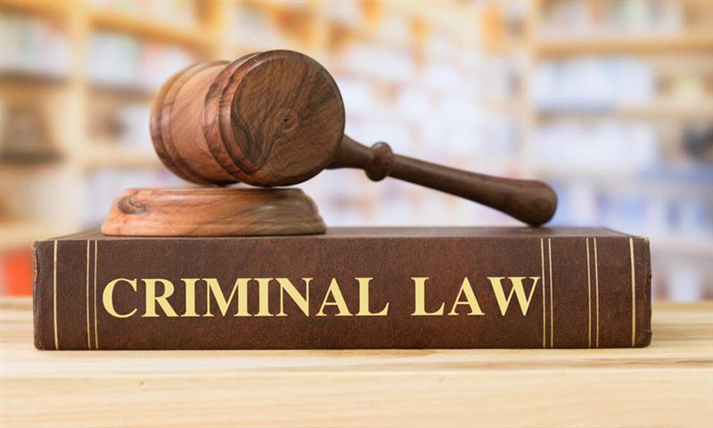 Criminal Lawyers in Chandigarh