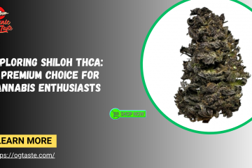 Shiloh thca