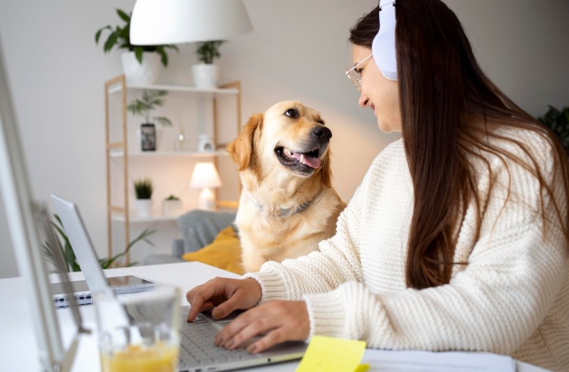 online pet shop