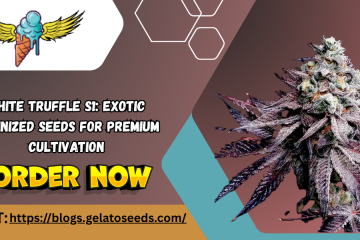 Exotic Feminized Seeds