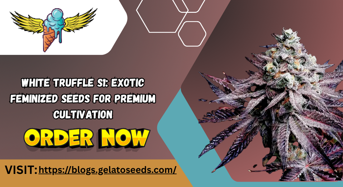 Exotic Feminized Seeds