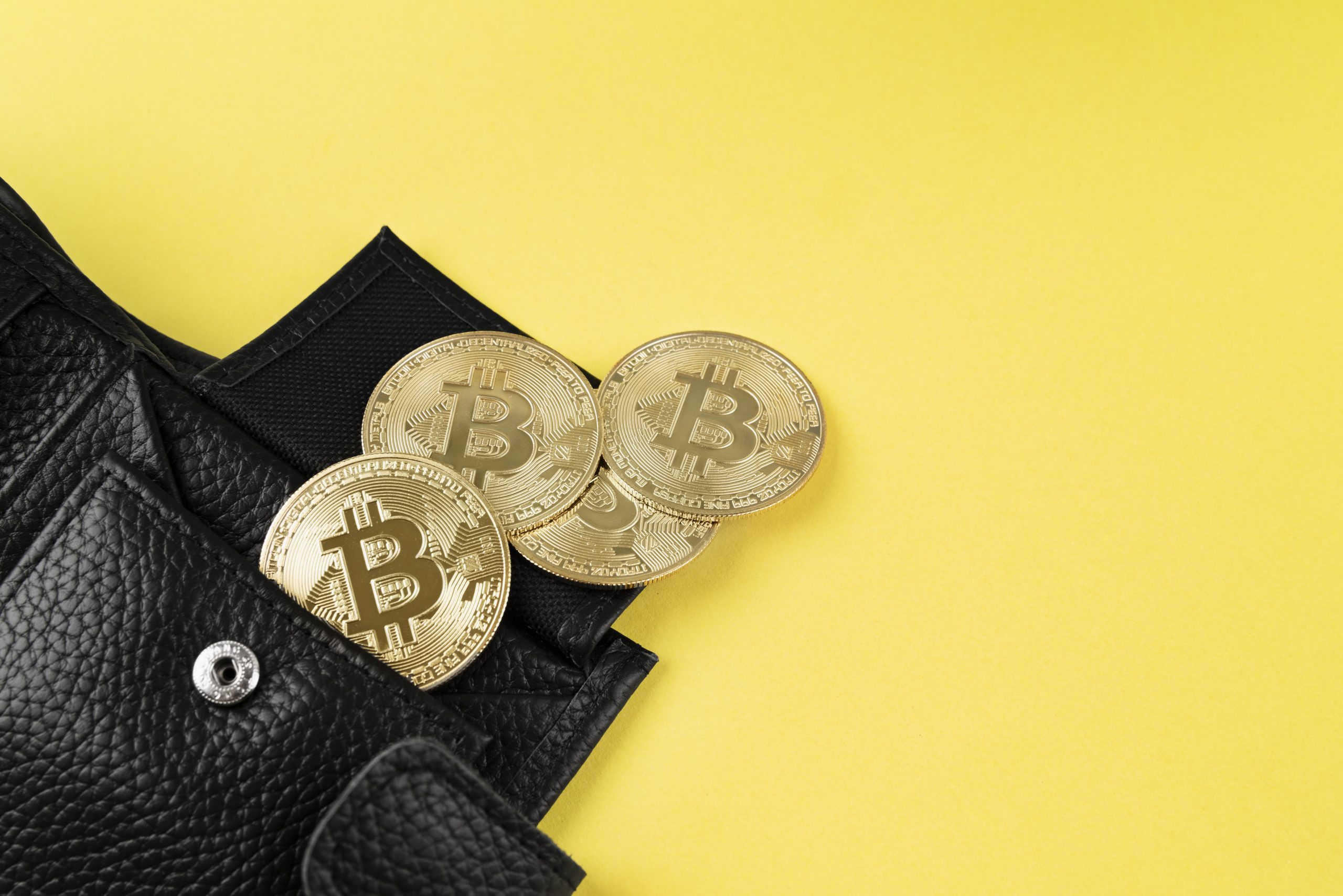 crypto cold wallet