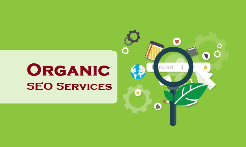 Organic SEO Service