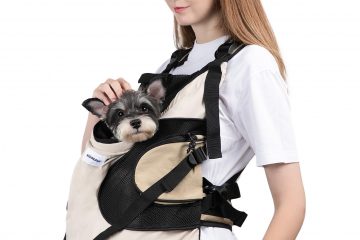 dog and carrier