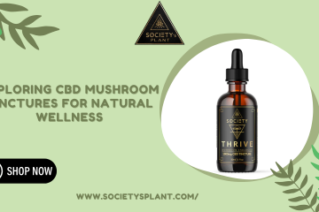 CBD Mushroom Tinctures