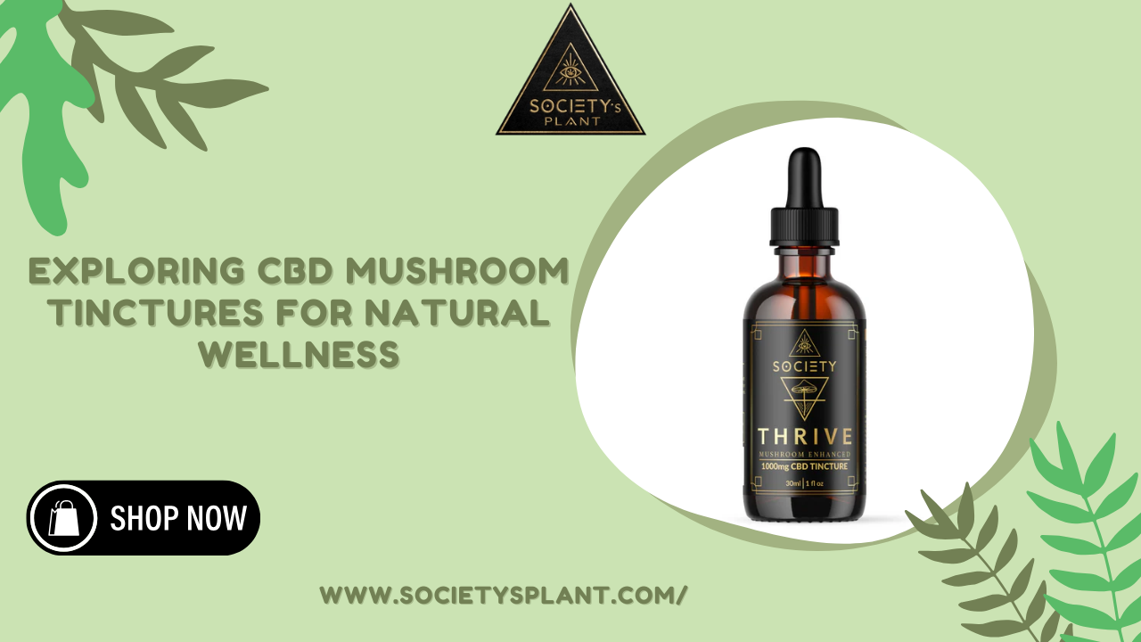 CBD Mushroom Tinctures