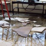 Water Damage Restoration in the Malibu