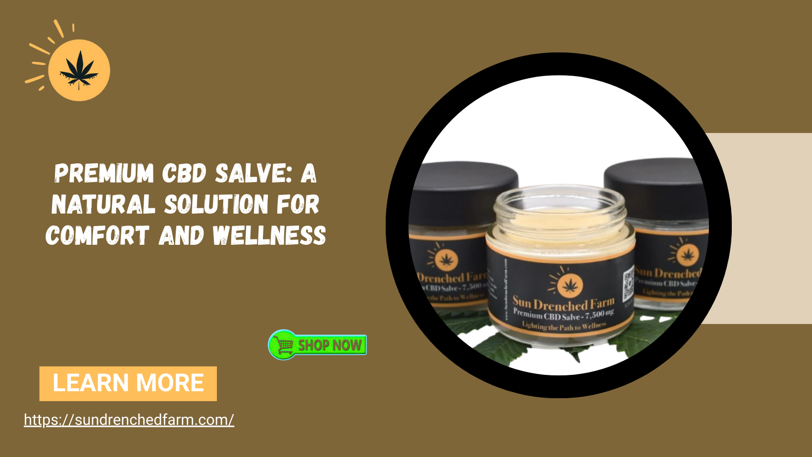 Premium CBD Salve