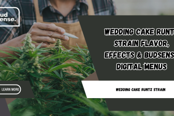 wedding cake runtz strain