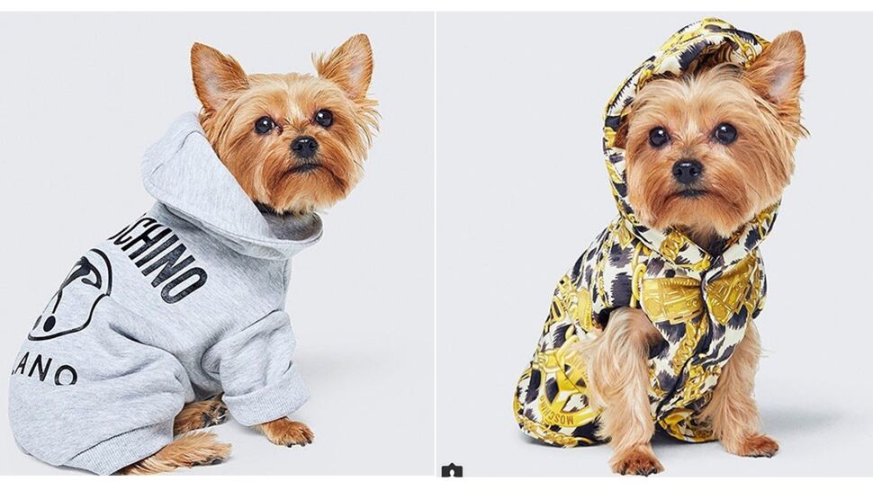 custom pet clothing