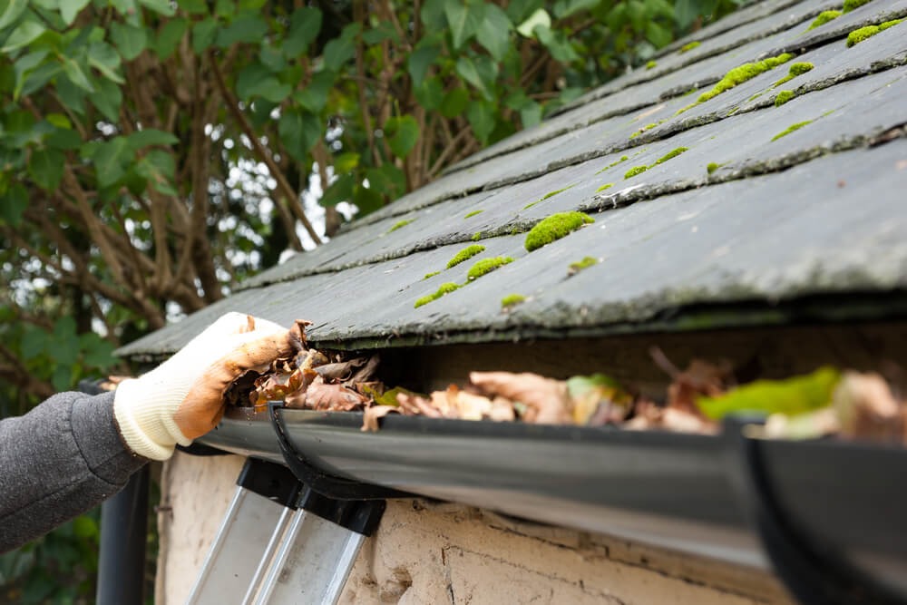 gutter cleaning in Surrey