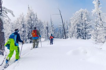 sonmarg travel package