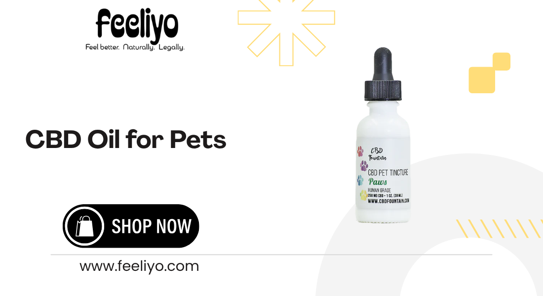 cbd oil for pets